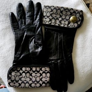 Coach Gloves